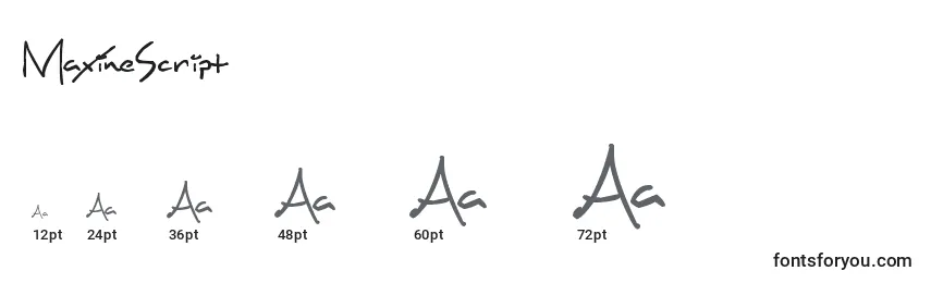 MaxineScript Font Sizes