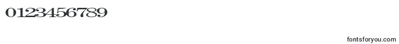 Шрифт Fastpardontype32RegularTtext – шрифты для цифр и чисел