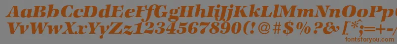 Fonte ZabriskieinternationalHeavyItalic – fontes marrons em um fundo cinza