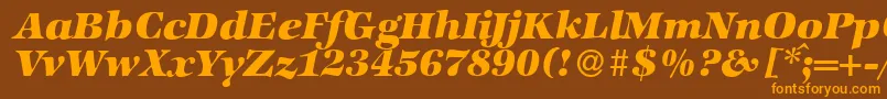 ZabriskieinternationalHeavyItalic Font – Orange Fonts on Brown Background