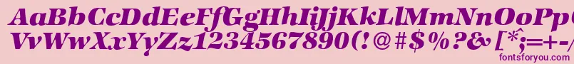 ZabriskieinternationalHeavyItalic Font – Purple Fonts on Pink Background