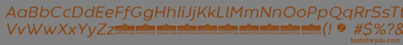 CodecWarmRegularItalicTrial Font – Brown Fonts on Gray Background