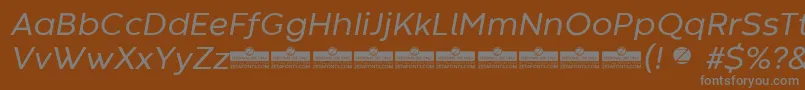 CodecWarmRegularItalicTrial Font – Gray Fonts on Brown Background