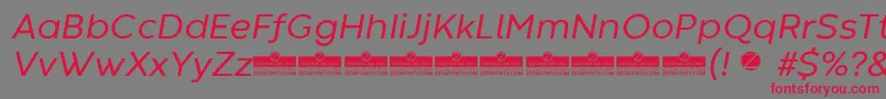 CodecWarmRegularItalicTrial Font – Red Fonts on Gray Background