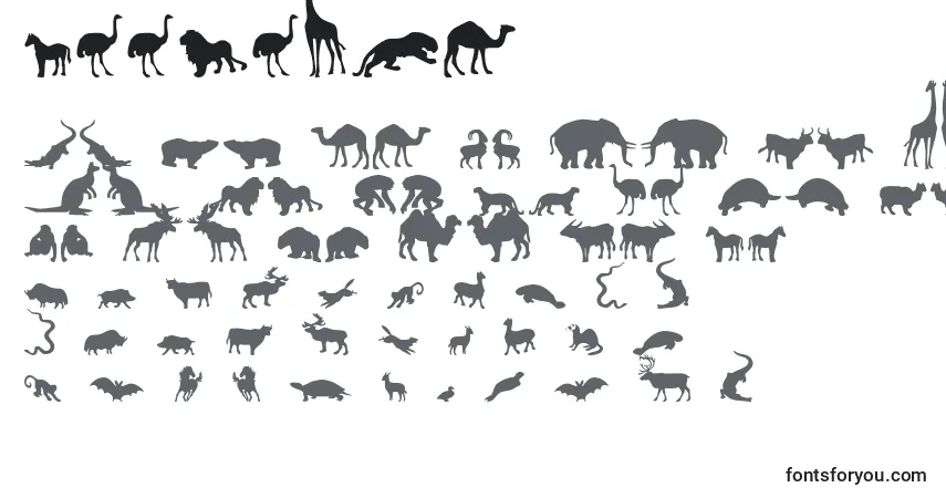 Schriftart Zoologic – Alphabet, Zahlen, spezielle Symbole