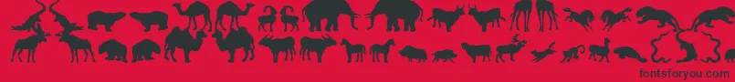 フォントZoologic – 赤い背景に黒い文字
