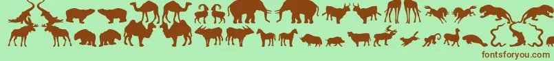 Zoologic-fontti – ruskeat fontit vihreällä taustalla