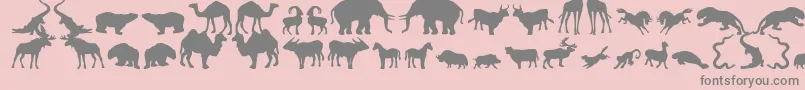 フォントZoologic – ピンクの背景に灰色の文字
