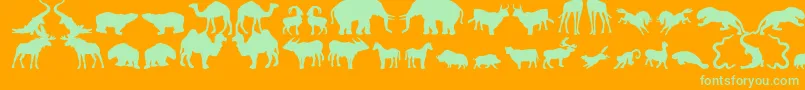 Zoologic Font – Green Fonts on Orange Background