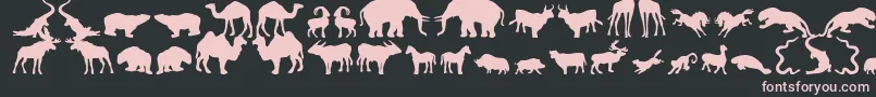 フォントZoologic – 黒い背景にピンクのフォント