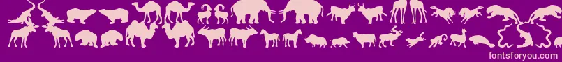 Zoologic Font – Pink Fonts on Purple Background