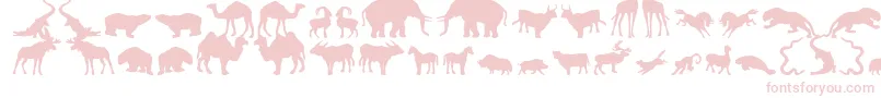 Zoologic-Schriftart – Rosa Schriften