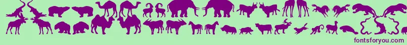 Czcionka Zoologic – fioletowe czcionki na zielonym tle
