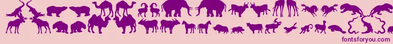 Zoologicフォントについての詳細 フォントZoologic – ピンクの背景に紫のフォント
