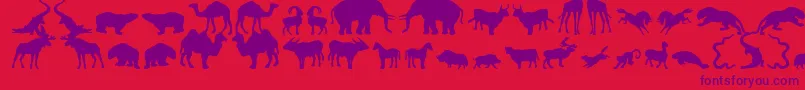 Zoologic Font – Purple Fonts on Red Background