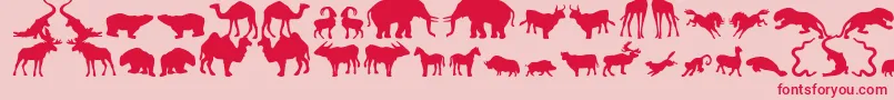Zoologic-fontti – punaiset fontit vaaleanpunaisella taustalla