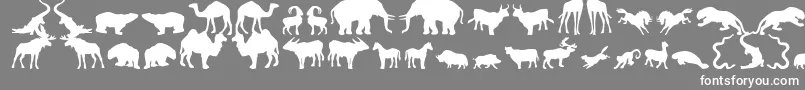 Zoologic-Schriftart – Weiße Schriften auf grauem Hintergrund