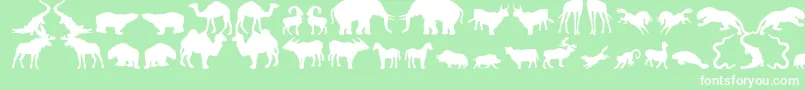 Fonte Zoologic – fontes brancas em um fundo verde