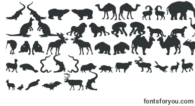  Zoologic font