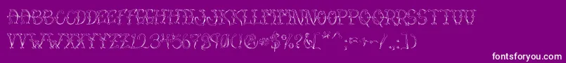 VtcSumislasheroneskinned Font – White Fonts on Purple Background