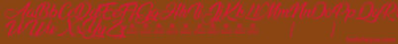 AnandaPersonalUse Font – Red Fonts on Brown Background