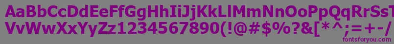 TahomaРџРѕР»СѓР¶РёСЂРЅС‹Р№ Font – Purple Fonts on Gray Background