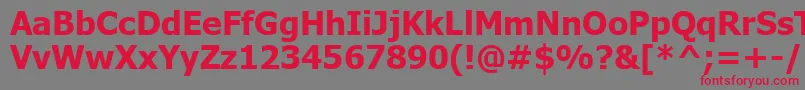 TahomaРџРѕР»СѓР¶РёСЂРЅС‹Р№ Font – Red Fonts on Gray Background