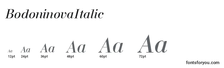 Размеры шрифта BodoninovaItalic