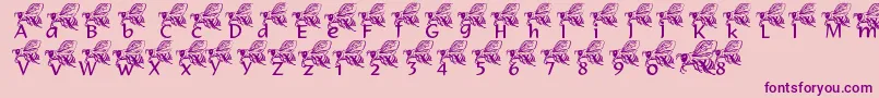 Police LmsHelpfulHunnyBee – polices violettes sur fond rose