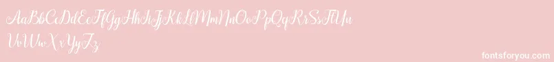 HellifaDemo Font – White Fonts on Pink Background