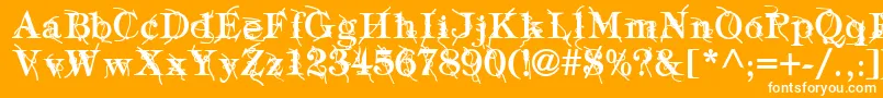 TypographyTiesBold Font – White Fonts on Orange Background