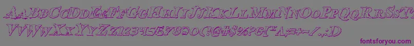 BloodCrowShadowItalic Font – Purple Fonts on Gray Background