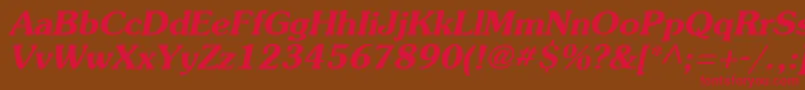 Agsou15 Font – Red Fonts on Brown Background