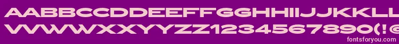 ZeppelinOtBold Font – Pink Fonts on Purple Background