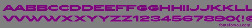 ZeppelinOtBold-fontti – violetit fontit harmaalla taustalla