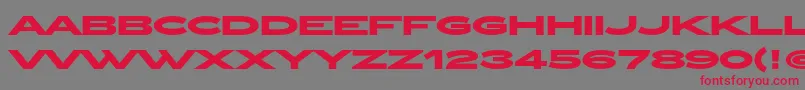 ZeppelinOtBold Font – Red Fonts on Gray Background