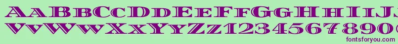 DiplomatascRegular Font – Purple Fonts on Green Background