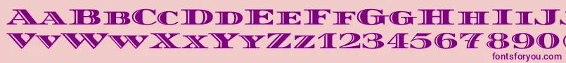 DiplomatascRegular-fontti – violetit fontit vaaleanpunaisella taustalla