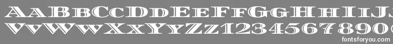 フォントDiplomatascRegular – 灰色の背景に白い文字