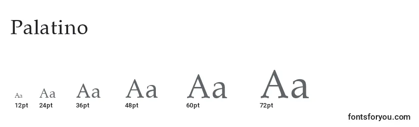 Размеры шрифта Palatino