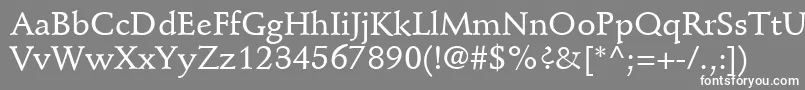 フォントStempelSchneidlerLtMedium – 灰色の背景に白い文字