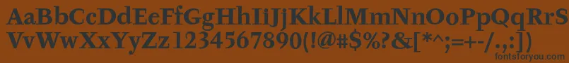 TyfaTextOtBold Font – Black Fonts on Brown Background