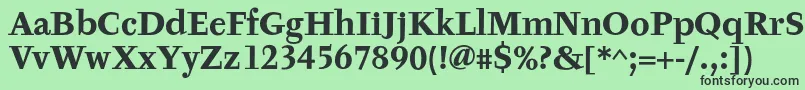 TyfaTextOtBold Font – Black Fonts on Green Background
