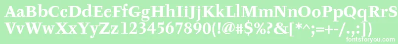 フォントTyfaTextOtBold – 緑の背景に白い文字