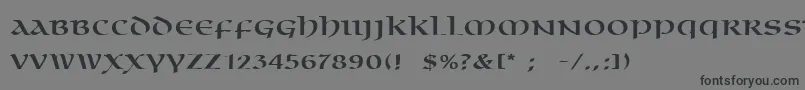 More about OmniaLt Font OmniaLt Font – Black Fonts on Gray Background