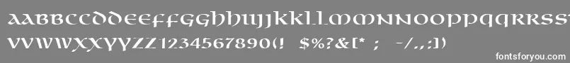 OmniaLt Font – White Fonts on Gray Background