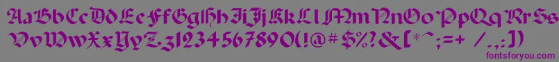 Paladinc-Schriftart – Violette Schriften auf grauem Hintergrund
