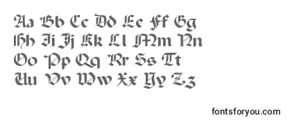 Review of the Paladinc Font