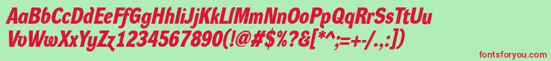 Czcionka DynagroteskdmBolditalic – czerwone czcionki na zielonym tle