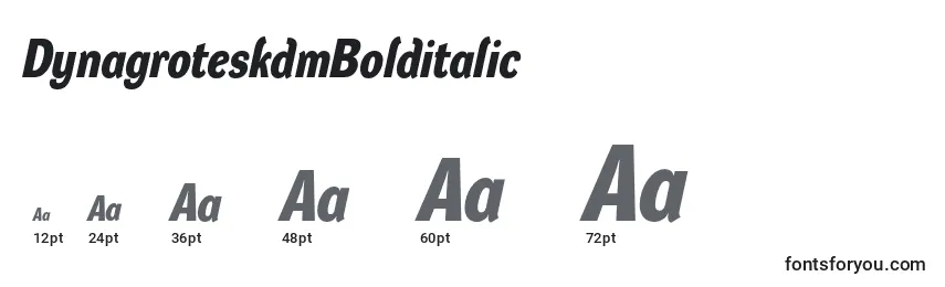 DynagroteskdmBolditalic Font Sizes